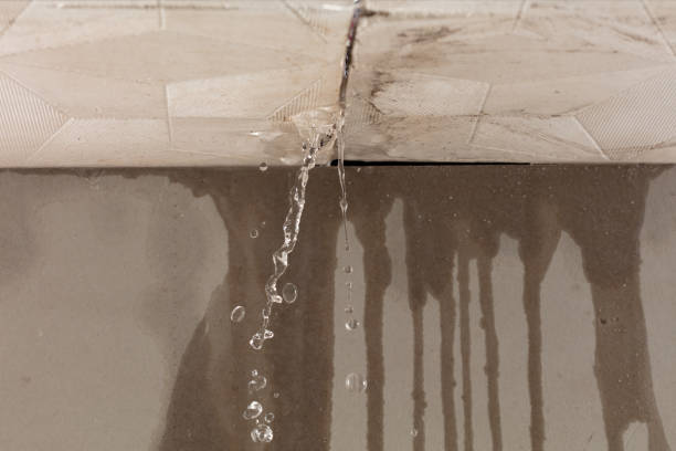 Professional Flood Damage Cleanup technician working in Four Lakes, WA